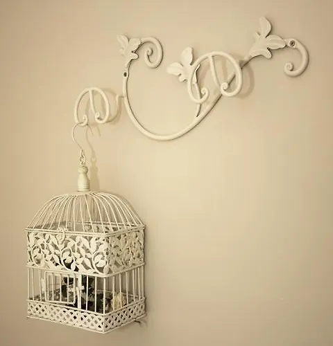 Hotel Mocambo Piscina, Spiaggia E Biciclette