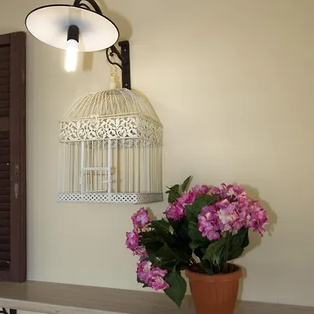 Mocambo Piscina E Hotel San Benedetto del Tronto