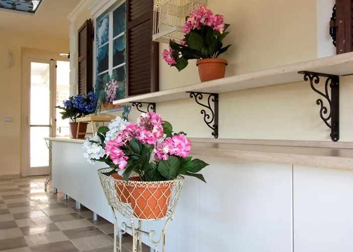 Hotel Mocambo Piscina E 3*